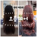 한나헤어샵 | 신내동미용실 오름헤어 염색 후기 | 한나원장님과 1:1 상담, 빠르고 정확한 염색!