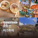 온막23-40 농로 | [내돈내산] 후쿠오카 유후인 버스투어 예약 추천! 저렴한 펀트립 업체 이용후기