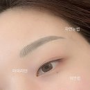 다달뷰티