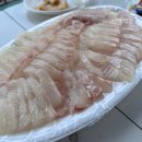 화성시장 | [ 궁평항 ] 화성 궁평항 수산시장 꽃미남 수산 내돈내산 회 포장 솔직 후기