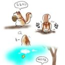 다람쥐가 이미지
