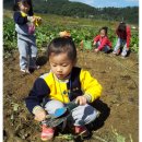 효동농장 이미지