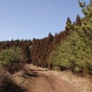 효명목장 이미지