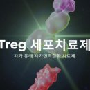 세종티에스 이미지
