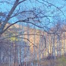 두들마을 음식디미방 | 웰니스여행 경북 영양 가볼만한곳 두들마을 석계고택 장계향 음식디미방 자작나무숲