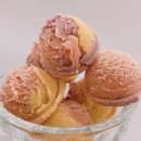 냥냥쩝쩝 이미지