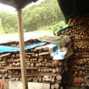 신안농장 이미지