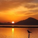 부네치아 선셋전망대 이미지