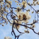 윤후동물병원 이미지