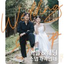 [채하 스냅] 야외 커플 웨딩 스냅 비용 및 상세안내 (25.03.01 ver.)