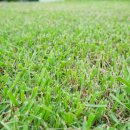 숏게임힐스 이미지