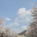 부곡온천중앙로 이미지