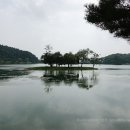 의림지파크랜드사계절썰매장 네이버블로그