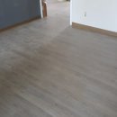 한솔(아) 이미지