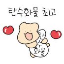 콘페티.야드 이미지