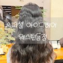 장항동미용실, 스페셜아이디헤어 웨스턴돔점 아리아원장님 페일펌 빈티지펌 후기