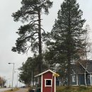 핀란드빌리지 | [25.09] 핀란드 여행 5일차 :) 로바니에미 산타빌리지 구경, 다시 헬싱키로!