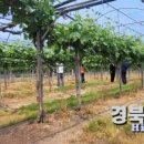 세정농장 이미지