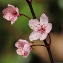 스마트폰 카메라 200 활용 이미지