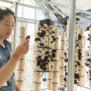 종덕농장 | 인간극장 김제 차정환 목이버섯, 메주콩, 햅쌀 파는 곳 택배 주문 전화번호 알아보기