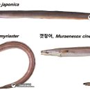 우리바다유통 이미지