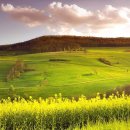 자연풍경2 이미지