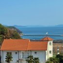 디하우스 풀빌라 펜션 | 8개월 아기와 강아지랑 남해여행 디풀빌라 애견펜션 후기 ♥︎