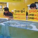 회 달인 이미지