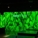 카페아르떼(Cafe Arte) | 제주 아르떼뮤지엄 할인 소요시간 주차 꿀팁 총정리 (feat. 임산부 야간 할인)