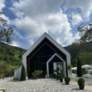 카페파인 이미지