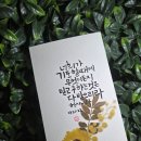 썬캘리그라피