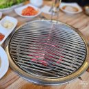 고기특별시 | 홍대 제주정원 서교동고기집 후기! 도심 속 정원에서 즐긴 제주 가브리살