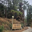남미목장 | 제주 도치돌알파카목장, 무료 먹이 체험 진짜일까?(오후 방문 비추 이유)