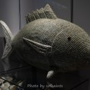 땅끝해양 자연사박물관 이미지