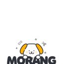 모랑펫살롱 이미지