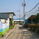 용산마을진입로 이미지