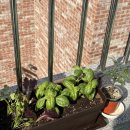 이태원삼성어린이집 이미지