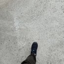 하늘멍가 이미지