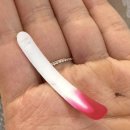청라 오브니끄,남영동 상록수,운서 쿠모,우정횟집,영종 바지락 칼국수 +2월 일상