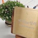 [광주퍼스널컬러]&#34;비치미컬러&#34; 퍼스널컬러&amp;색깔궁합 진단 후기 광주이색데이트 추천