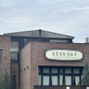 스테이564