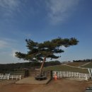 두화목장 이미지