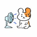 태국마트 - 무안군 | 태국마트