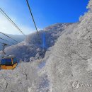 조양목장 이미지