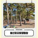 몽산포오토캠핑장 | 태안 몽산포 캠핑장 해루질 하기 좋은 몽산포오토캠핑장 예약 방법 시설 명당