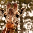 쿠팡공인중개사사무소 이미지