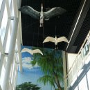 한양샛별유치원 이미지