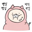 낙동대로249번길 이미지