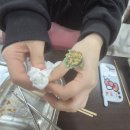 딤손