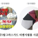 티앤지 이미지